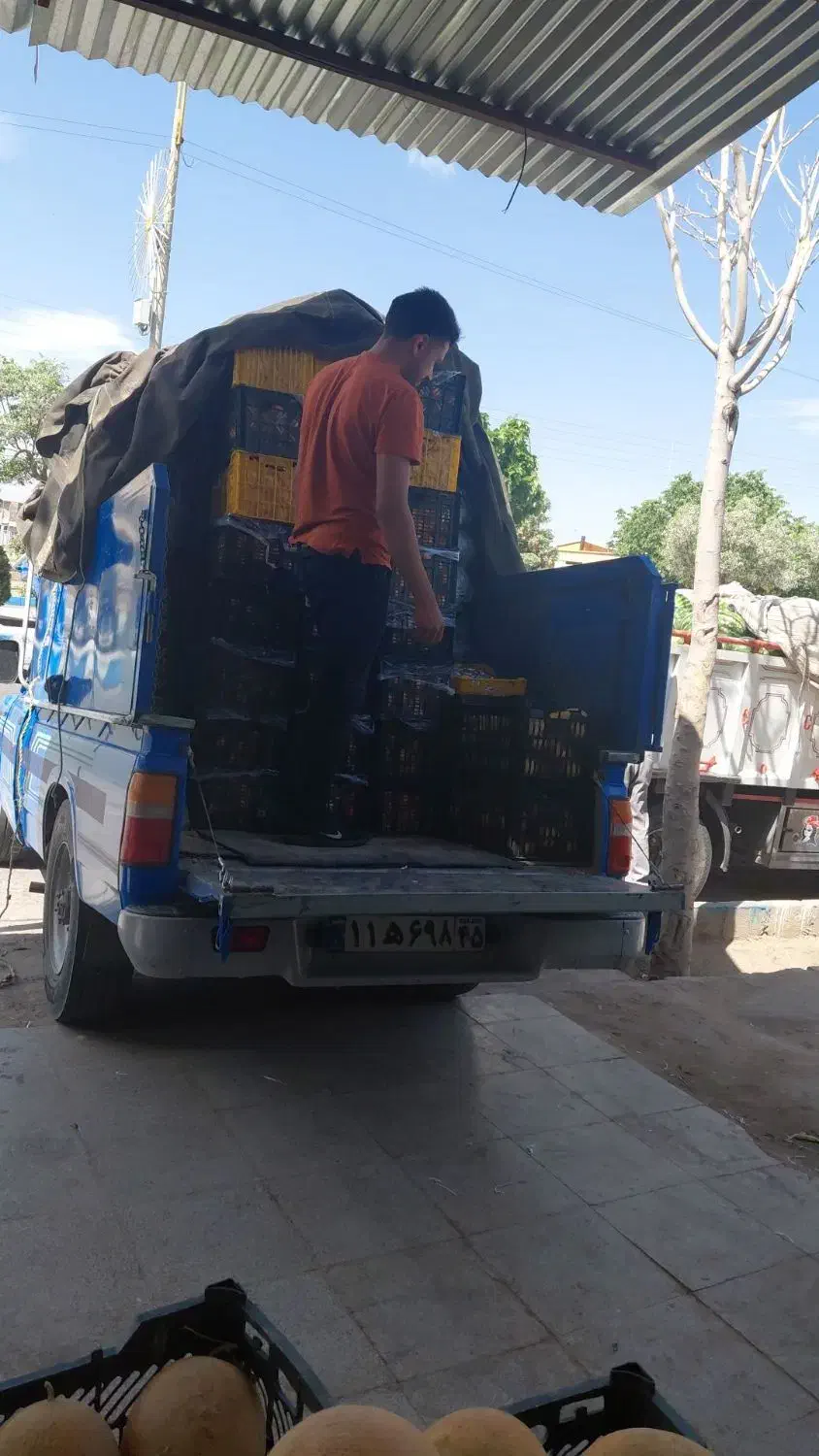 واگذاری میوه فروشی