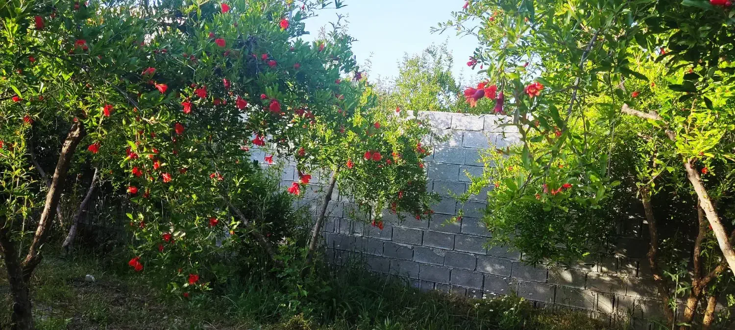 فروش باغچه کازرون