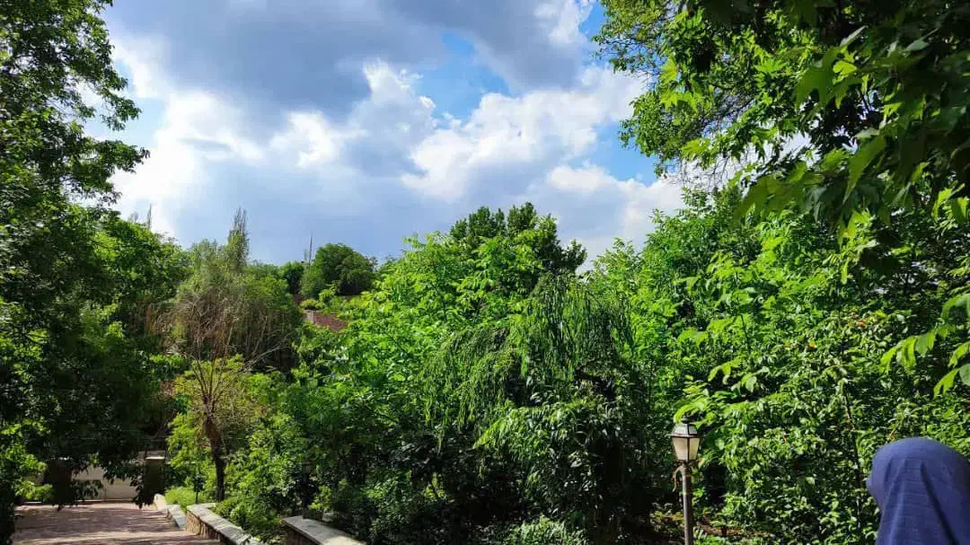 ۲۵۰ متر زمین چهار دیواری بهنمیر (بابلسر)