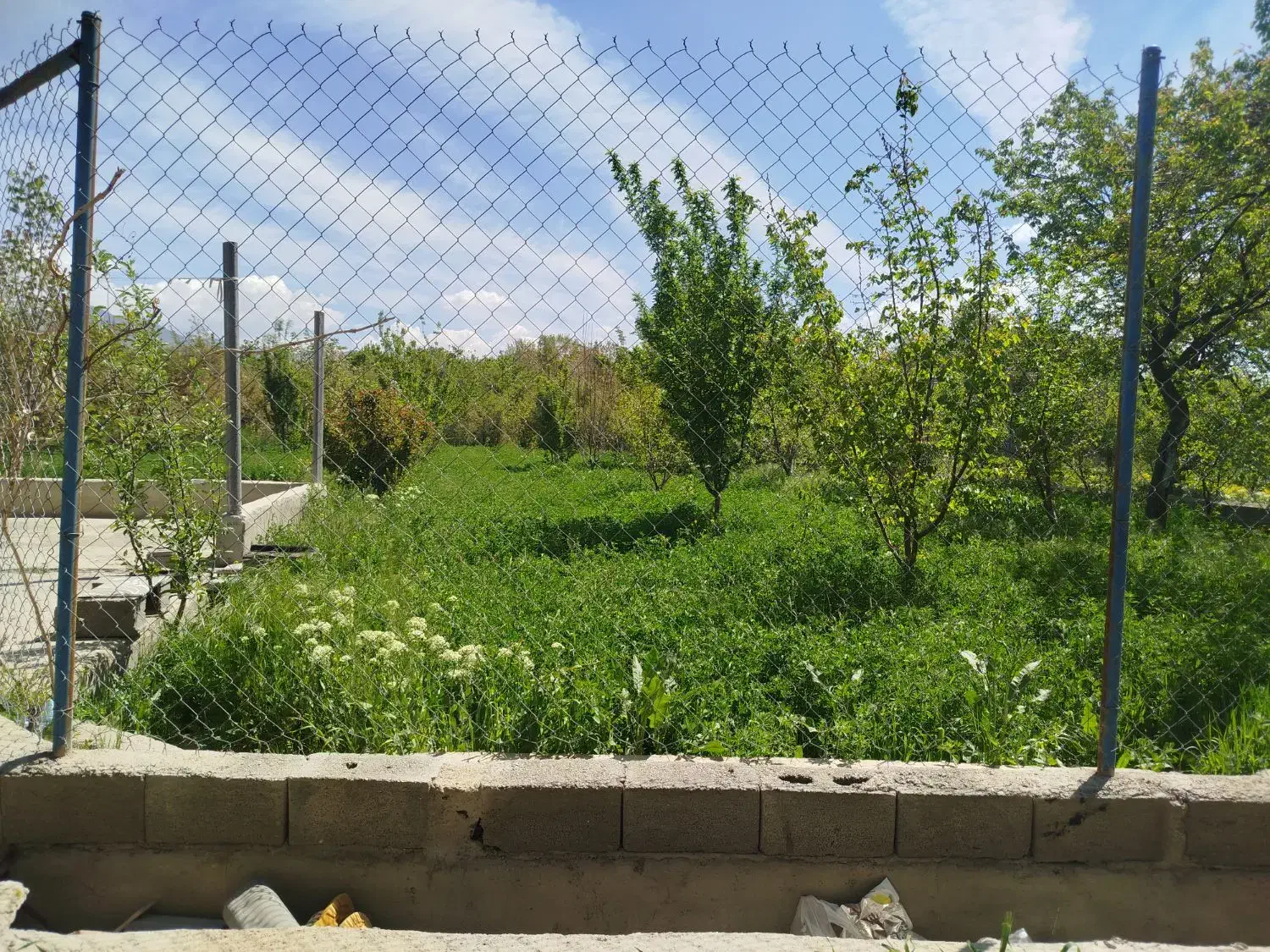 باغ در بناب مرند 1000متری