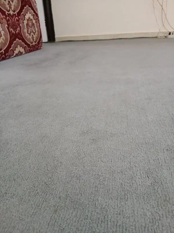 همخونه میشم