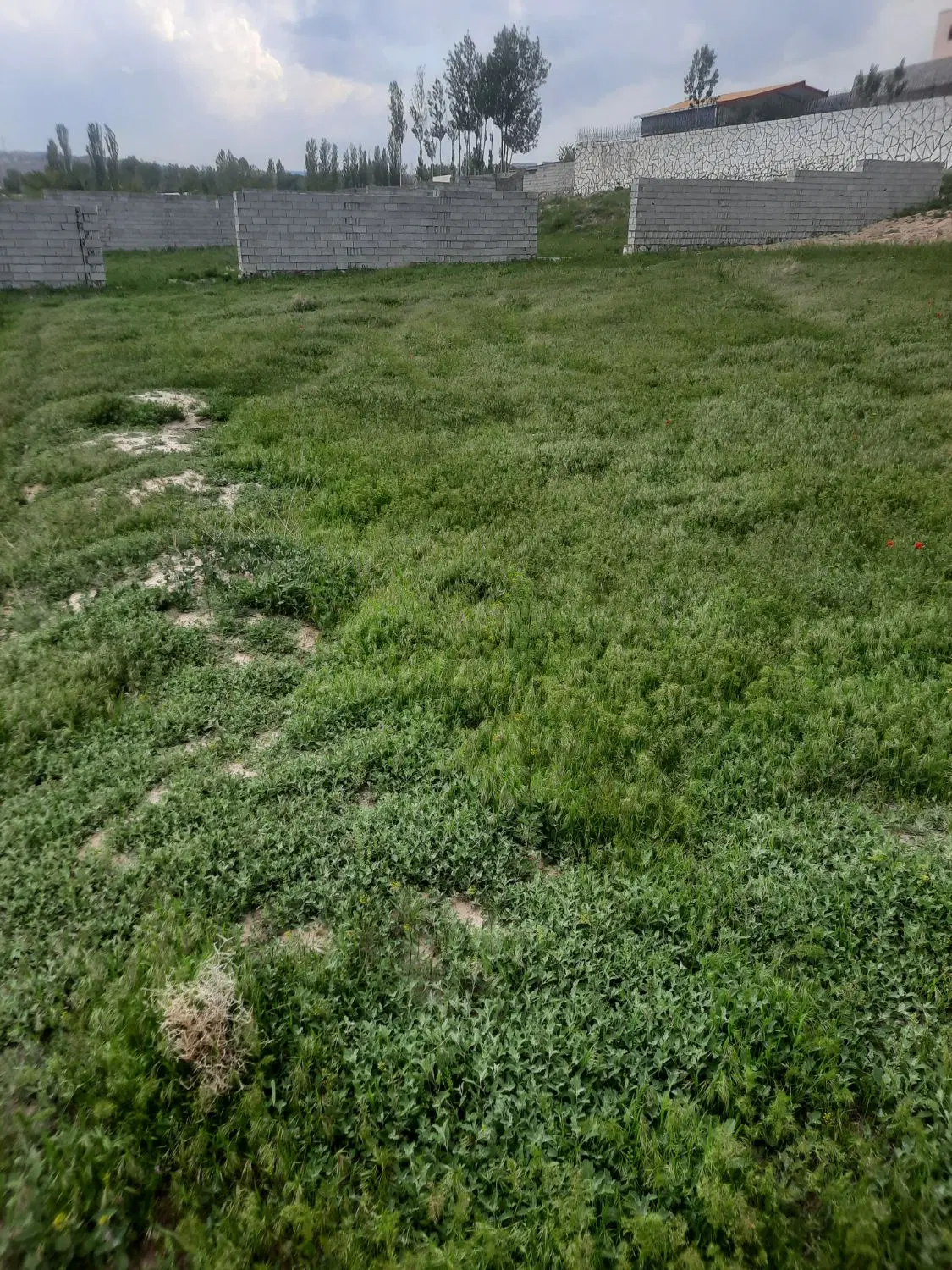 کوی ویلایی سعیدآباد در کوی گسترش ۱۰۰۰ متر