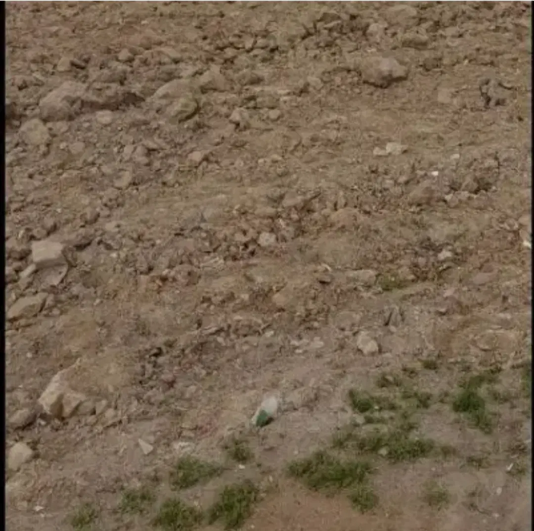 زمین درابوحمیظه