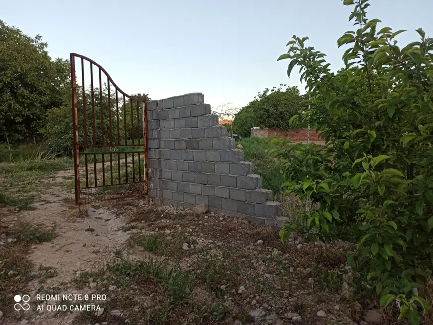 باغ