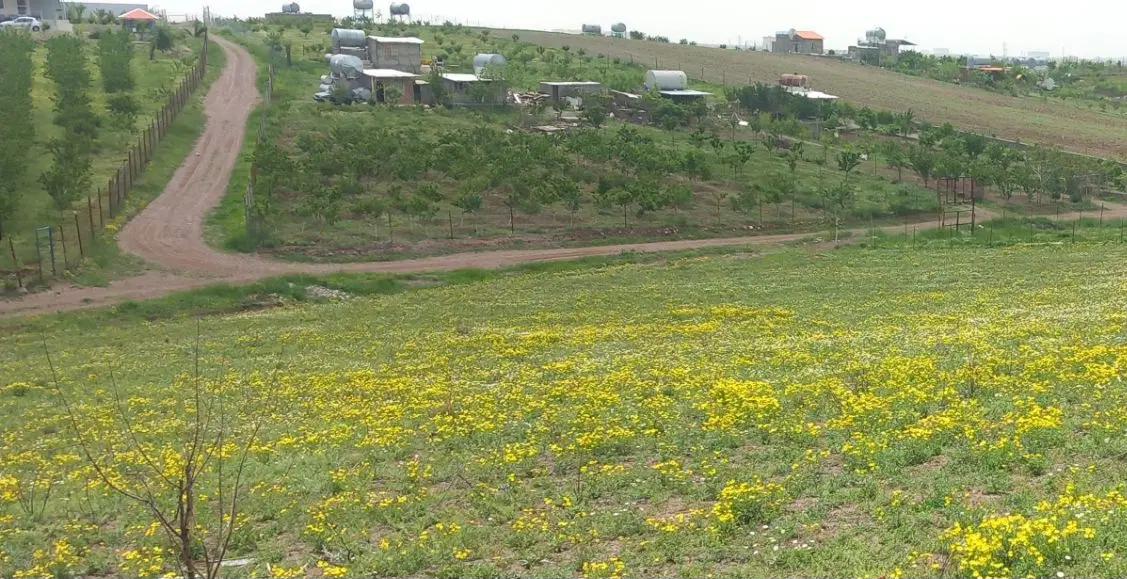 زمین ۵۰۰۰ متر کورانه