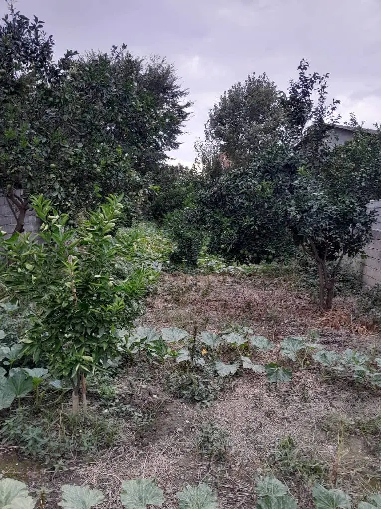 زمین با کاربری مسکونی ۵۰۰ متر