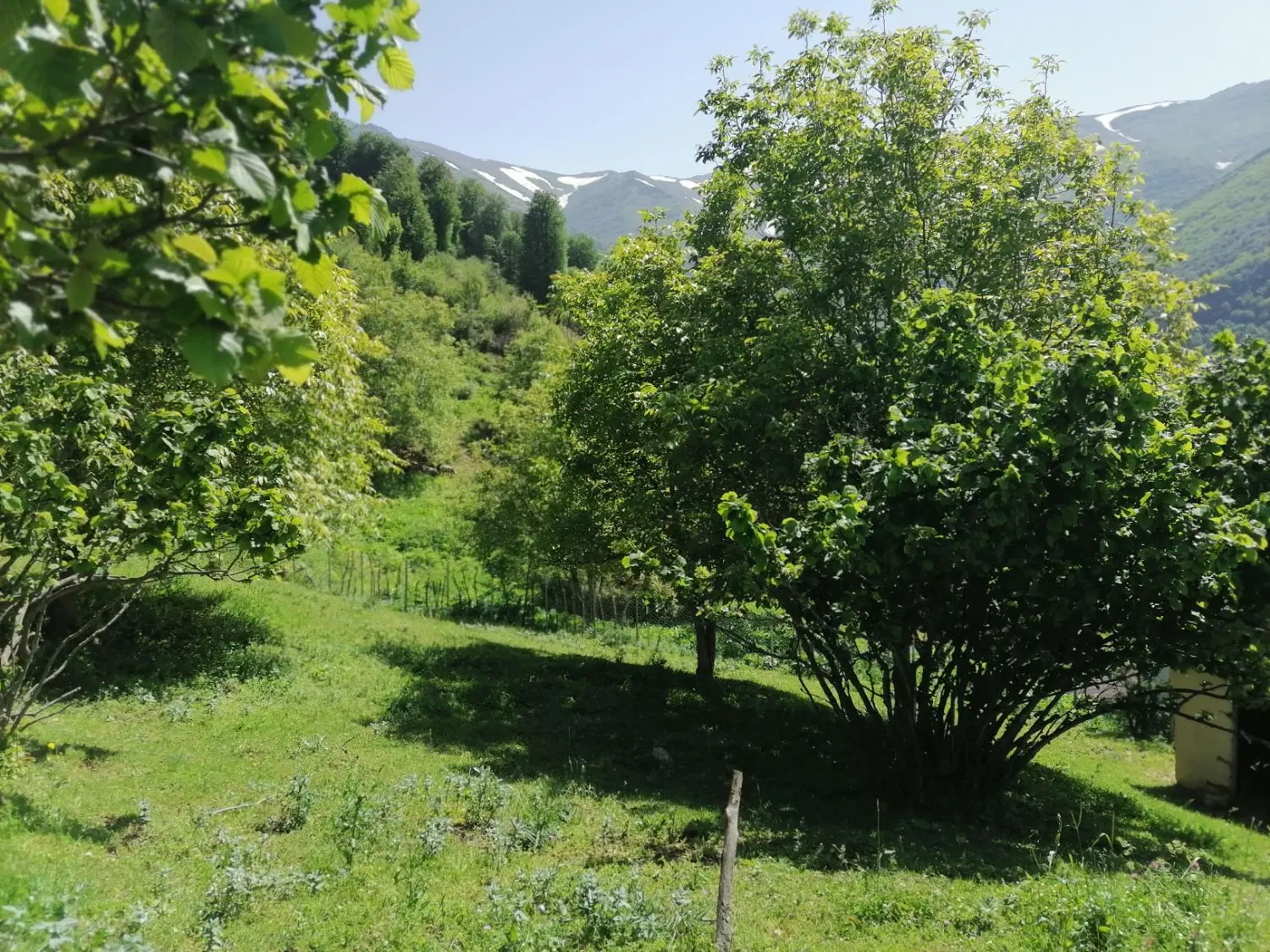 فروش زمین ییلاق نمکدره