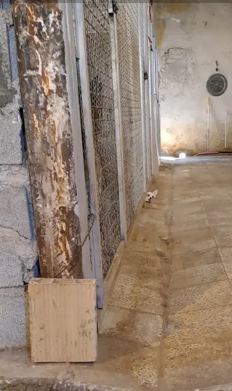 انبار