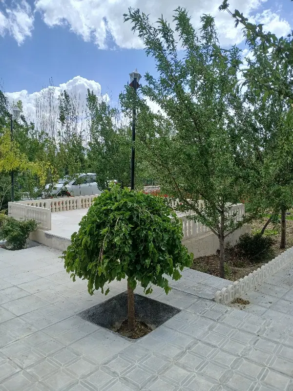 باغ شهرک مدنی