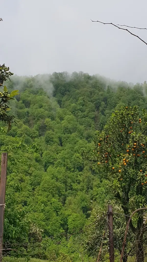 باغ ویلا ۲۰۰۰ متر دستجرد