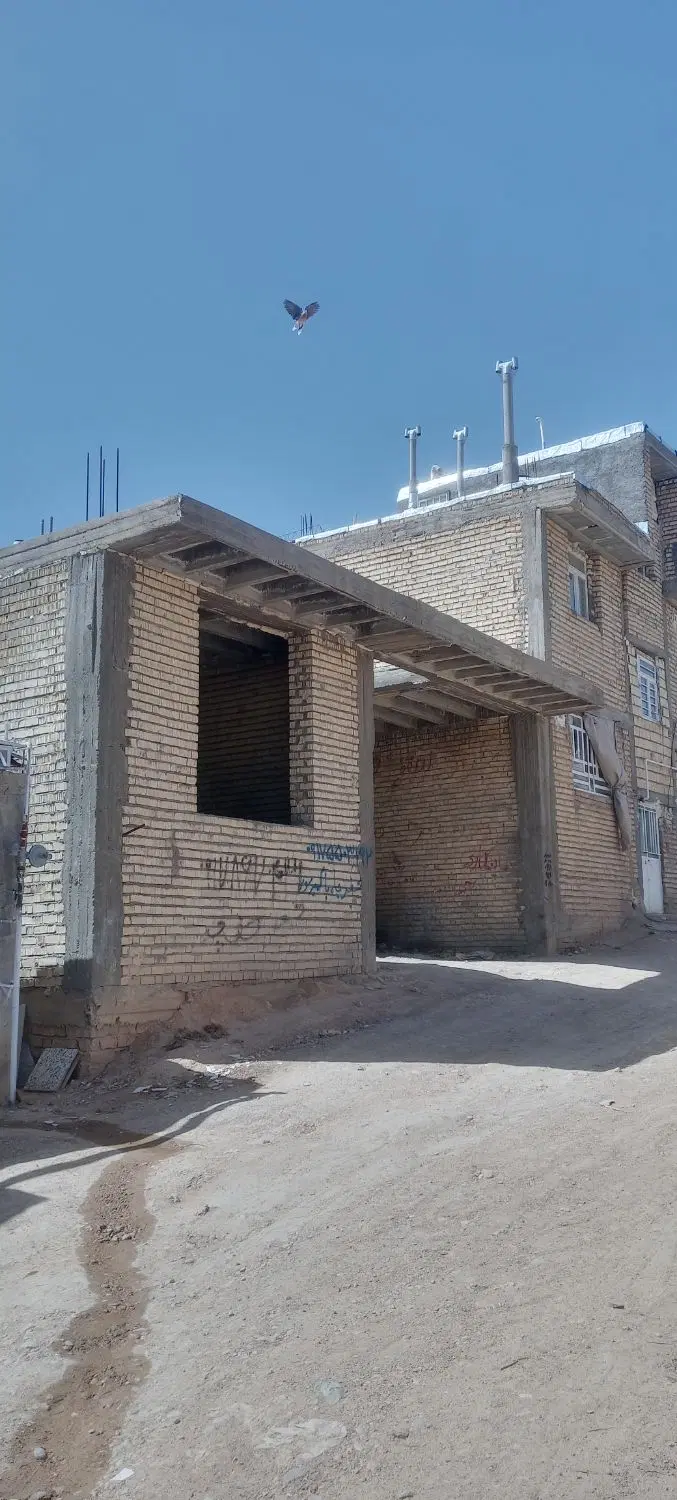 اسکلت قلات