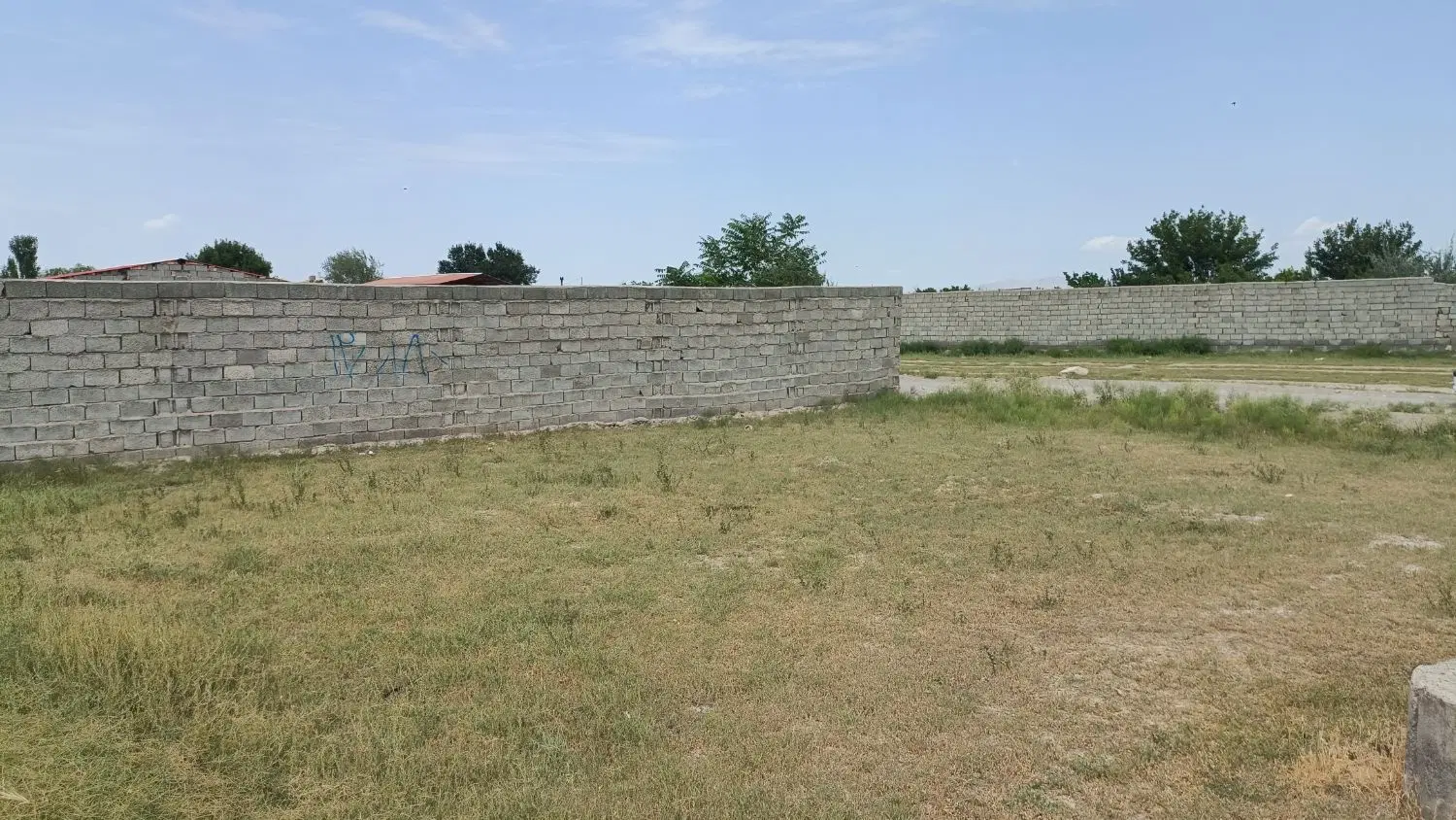 زمین 240 متری کوچه 6 متری