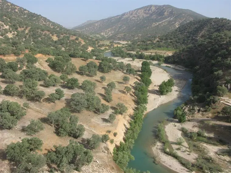 زمین