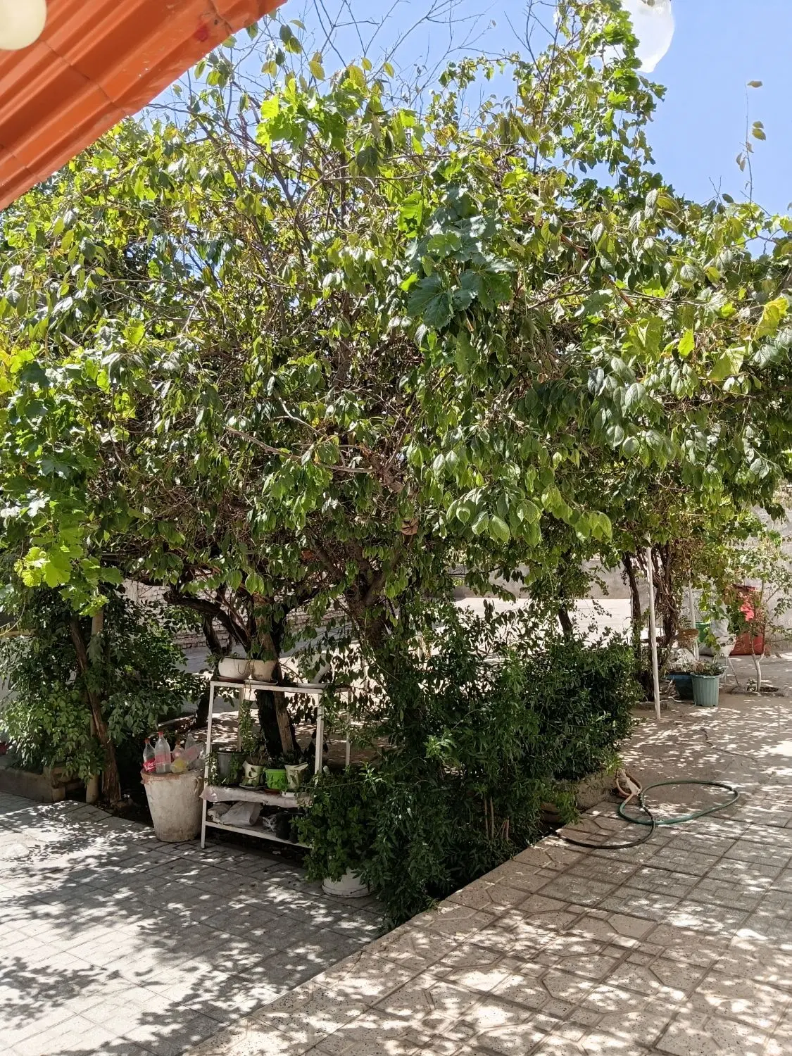 خانه فروشی