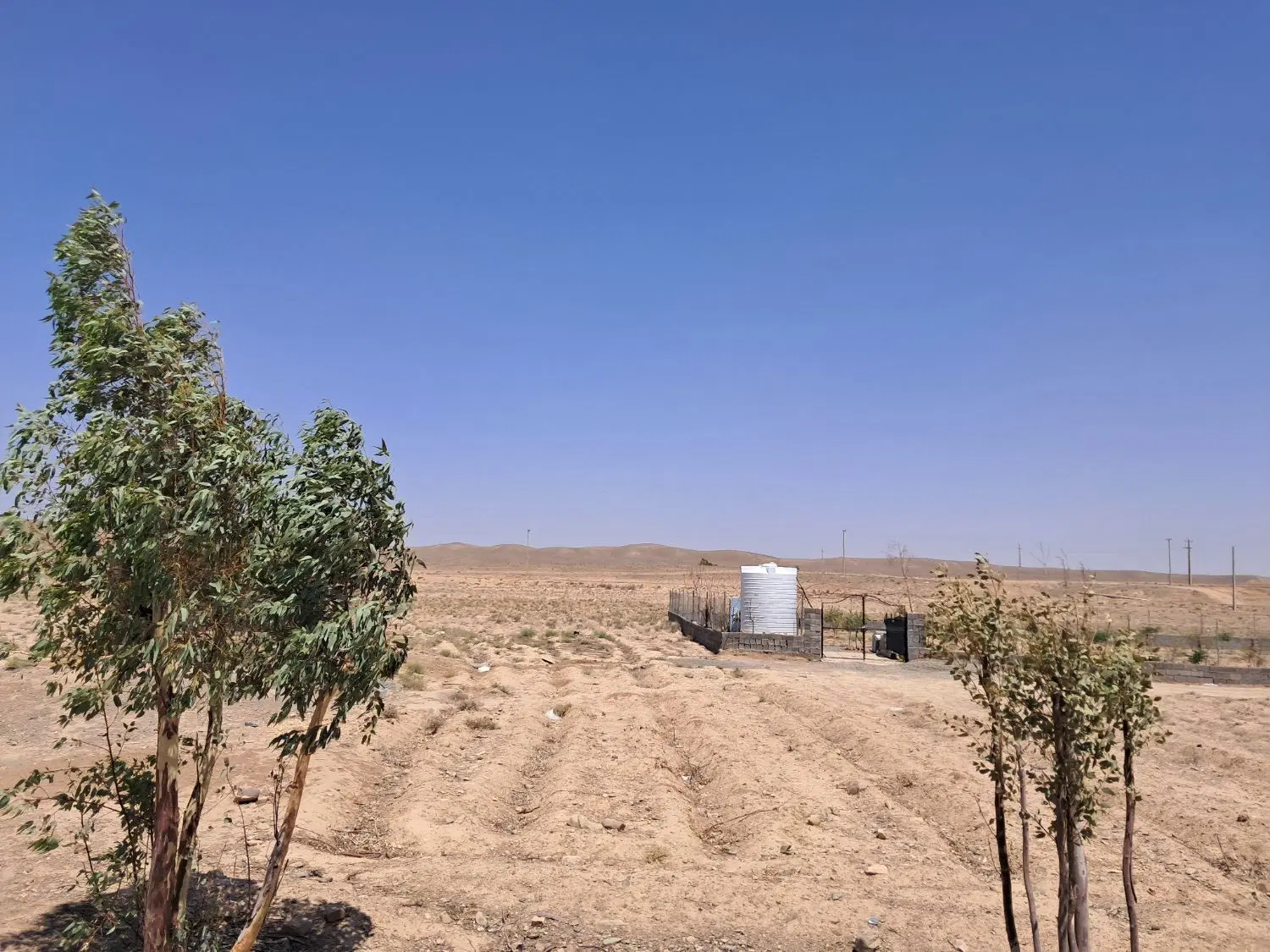 زمین مناسب باغچه ۸۰۰ متد