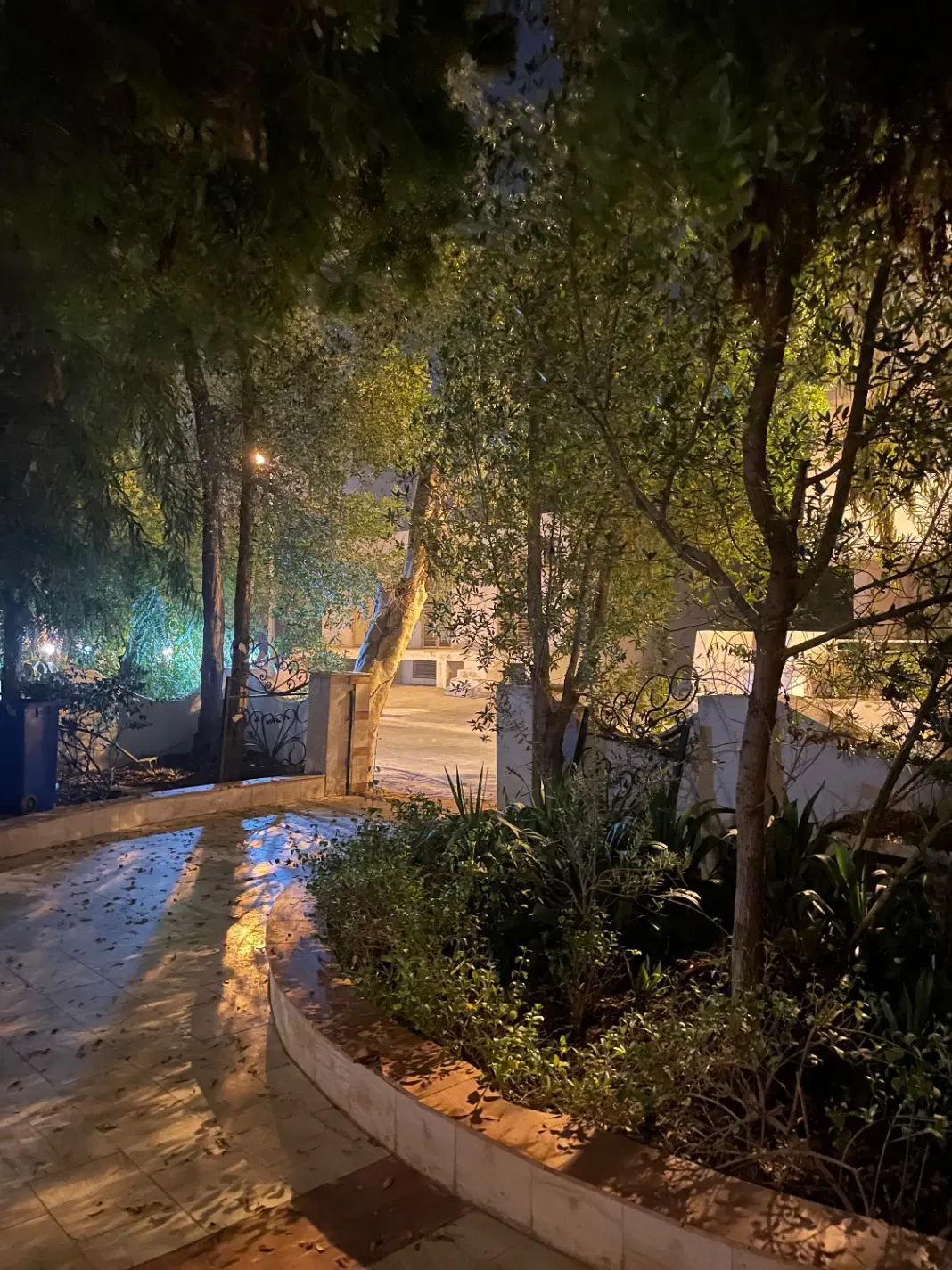78 متر،فاز دو صدف