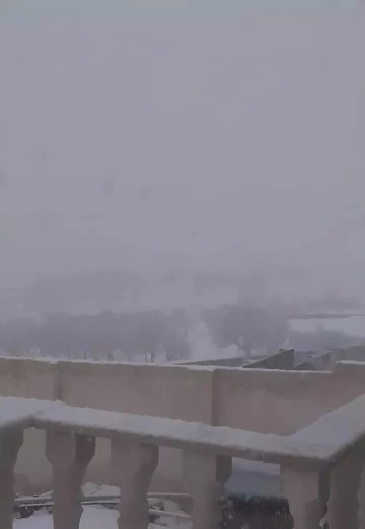 خانه باغ