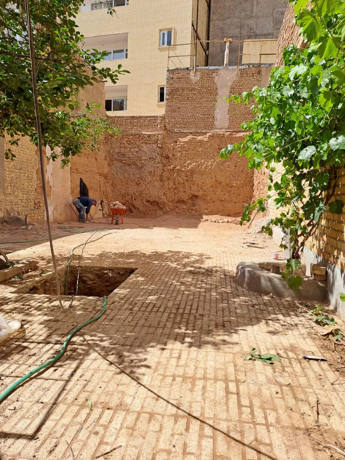 پیش فروش