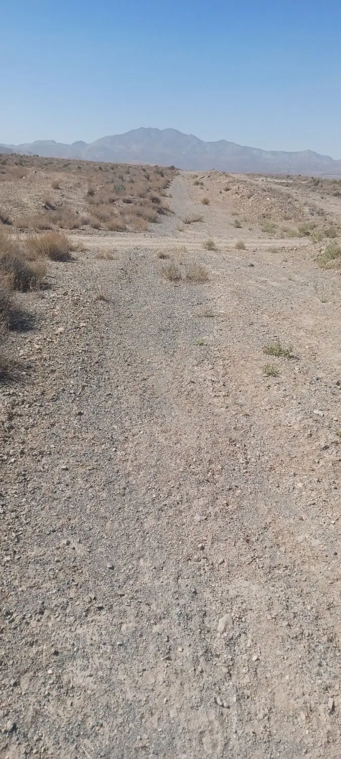 زمین تجاری