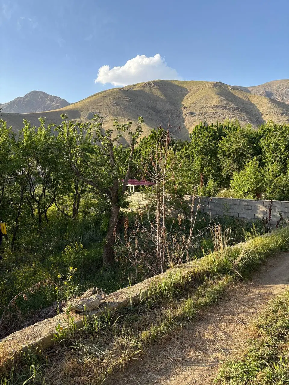 باغ ۲۵۰ متری در ابتدای جاده چالوس