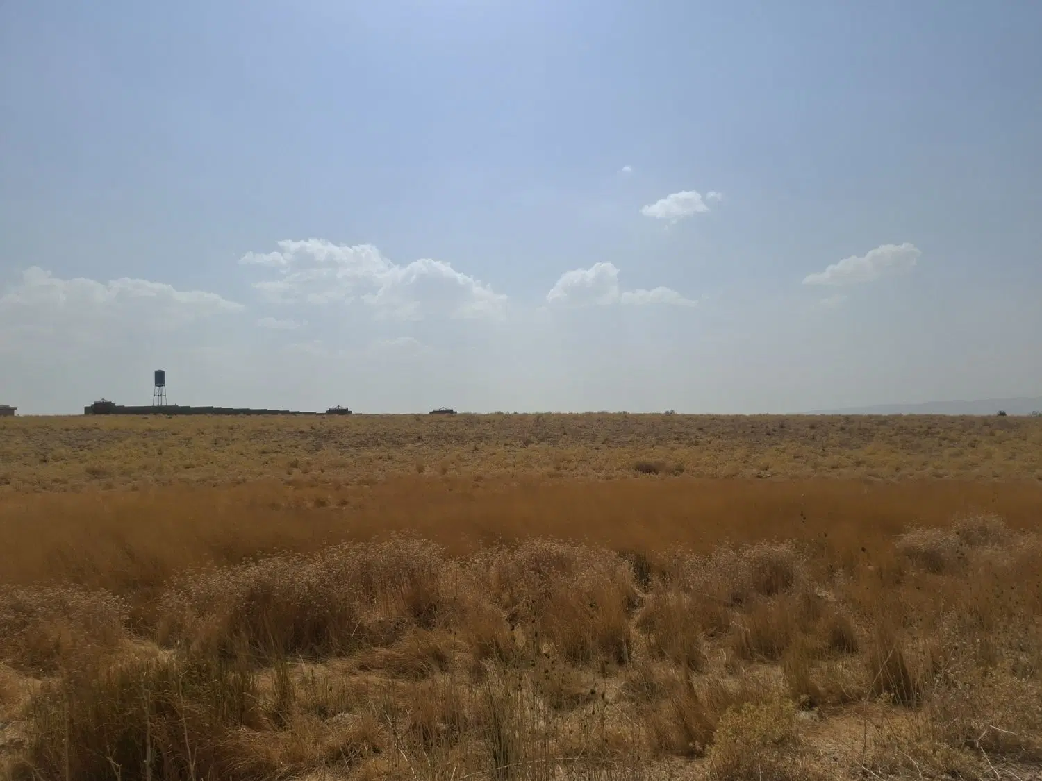 زمین محمود اباد مسکونی - باغی