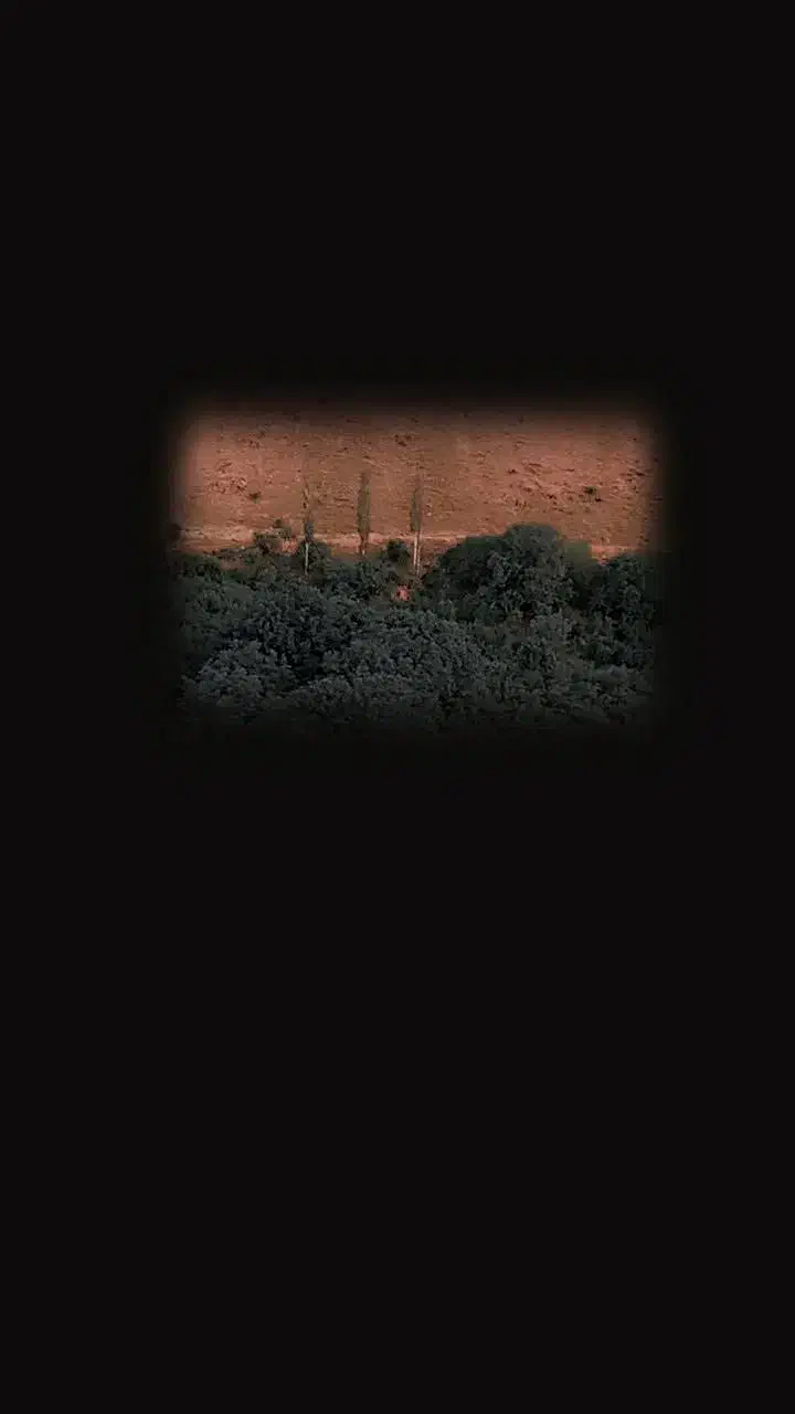 باغ در ملحمدره
