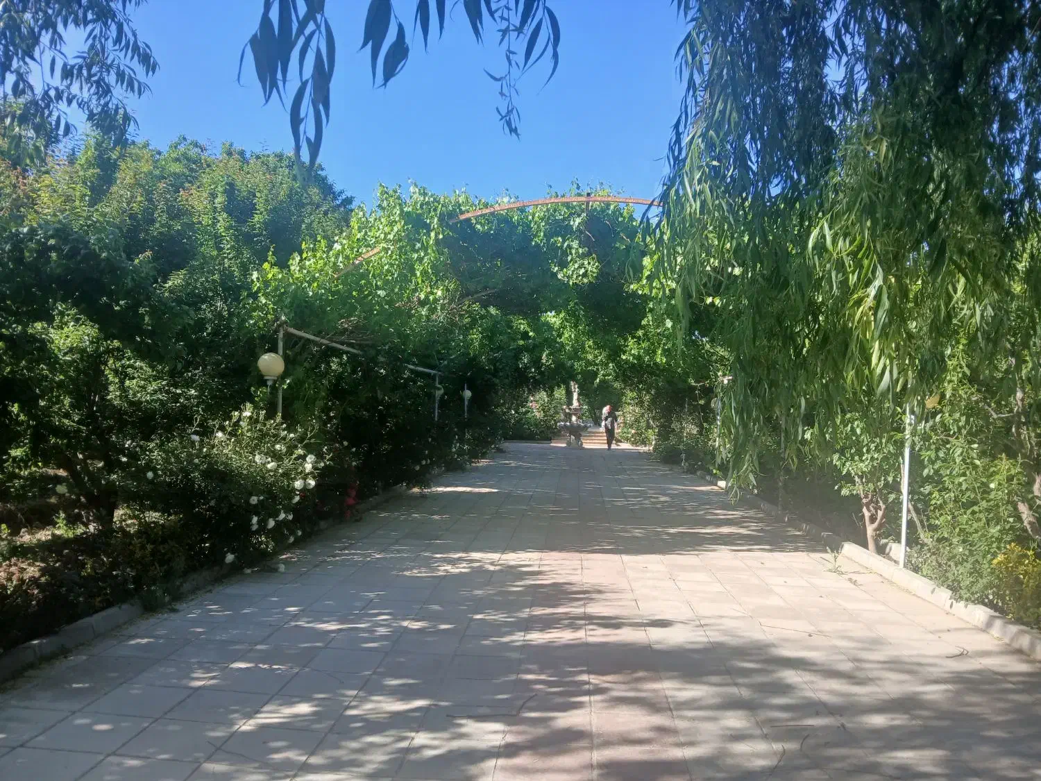 اجاره سالیانه ویلا۳هزارمتری جنگلی