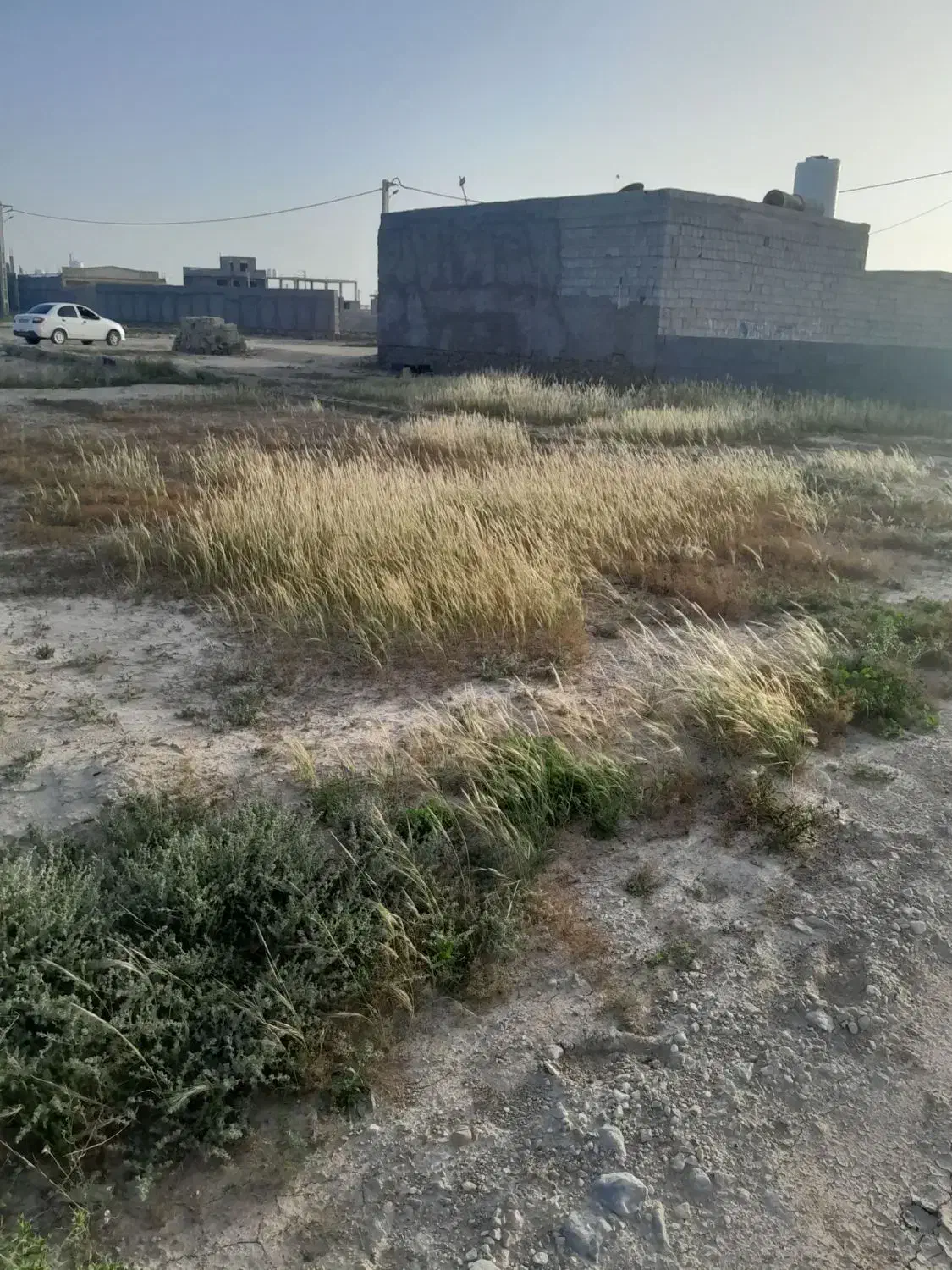 زمین مسکونی