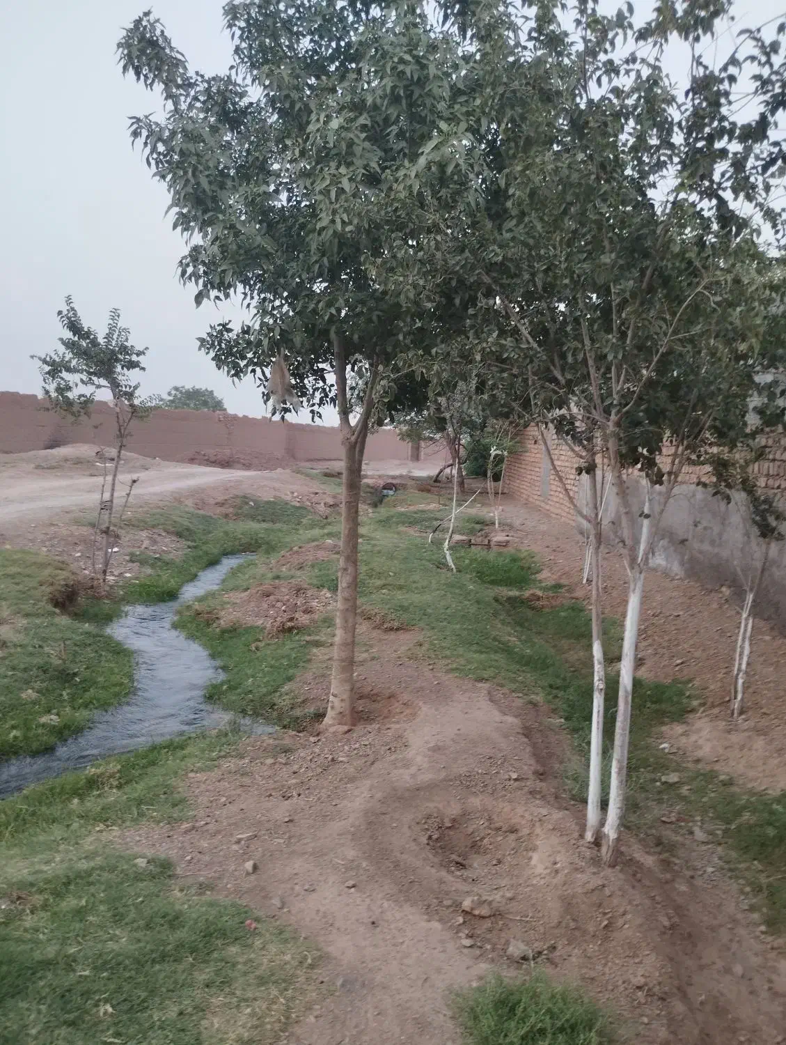 باغچه 700متری