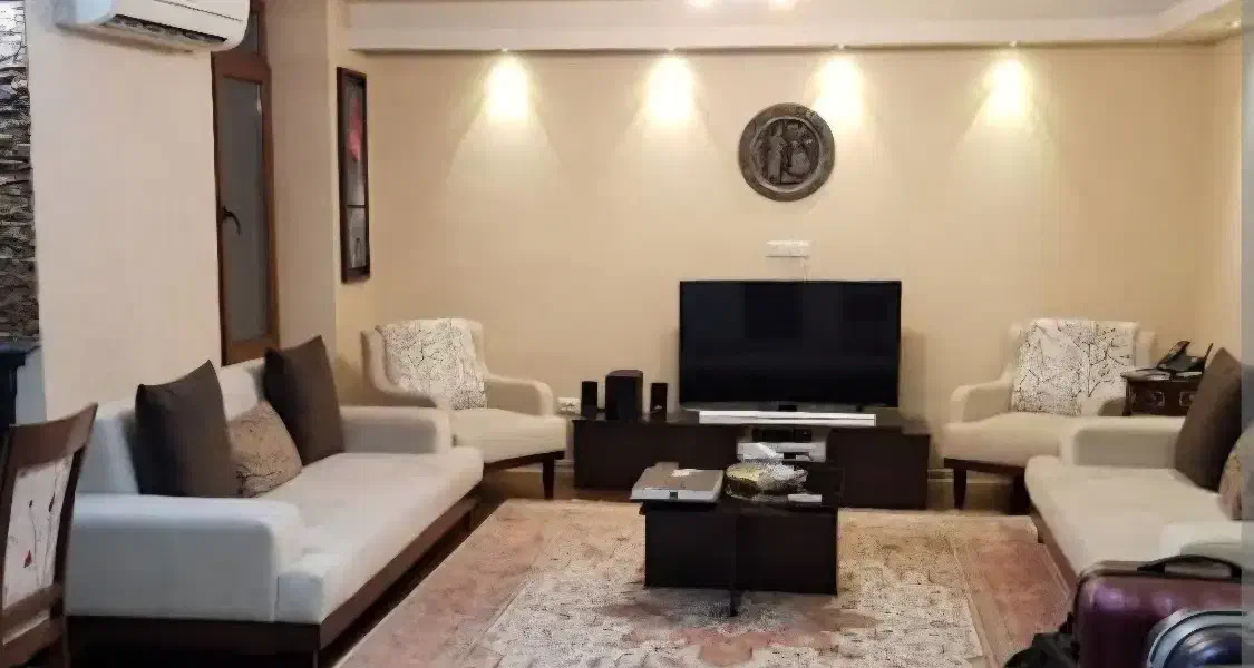 همخونه. پونک