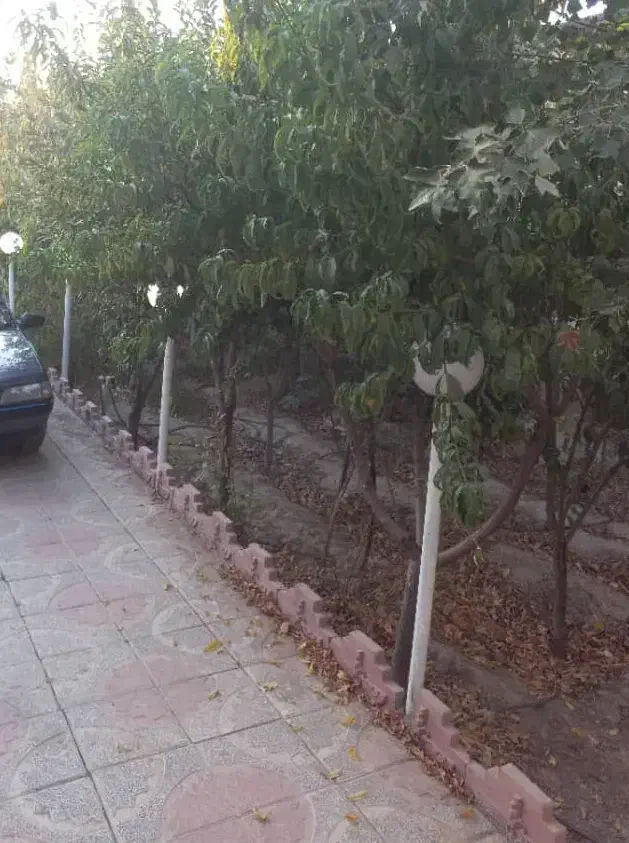 خانه کلنگی کوی گوهر شاهین ویلا