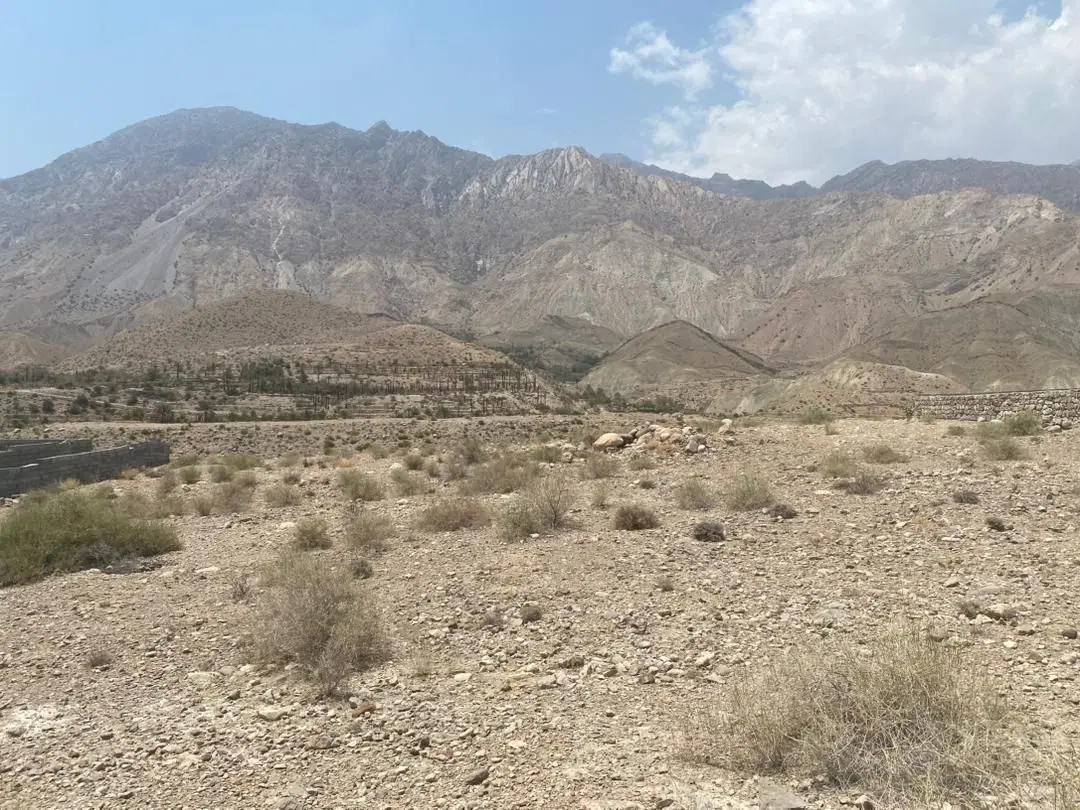 فروش فوری زمین روستای درگز