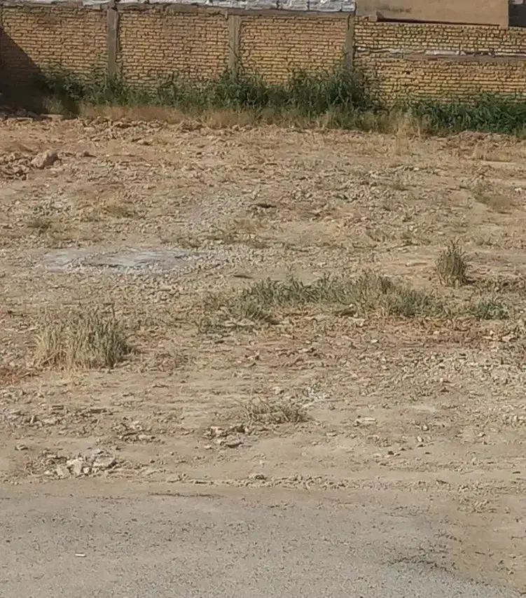 زمین نواب صفوی
