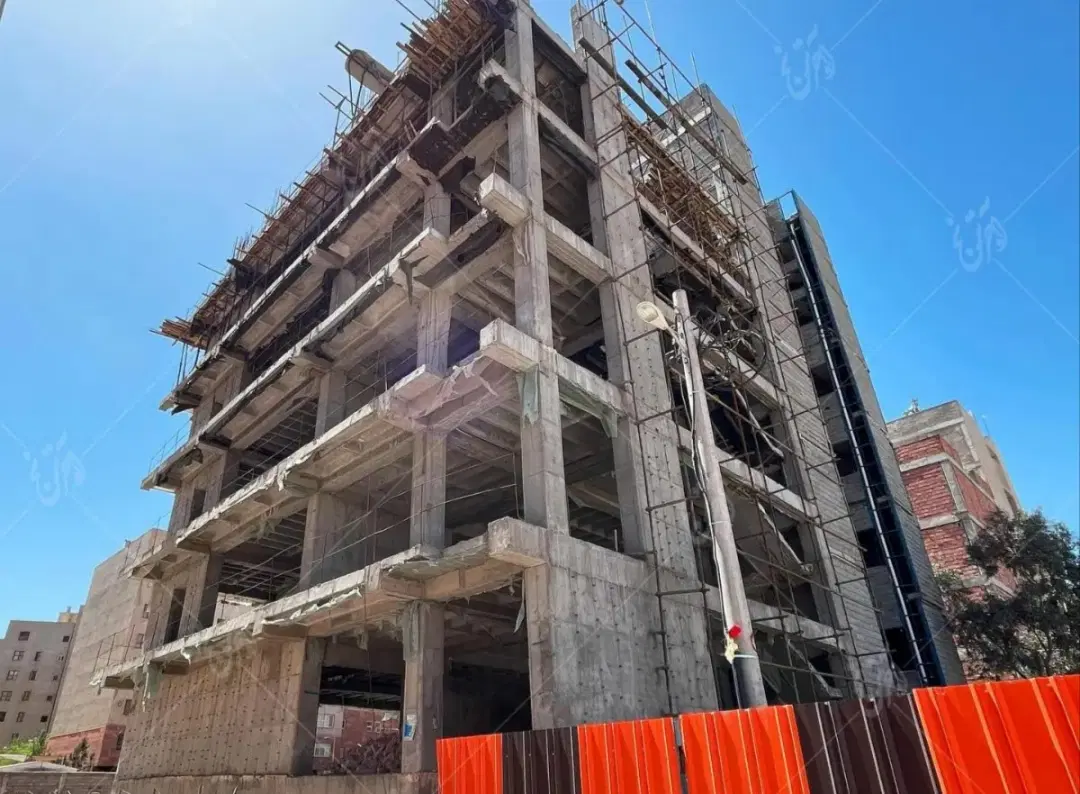 فیش