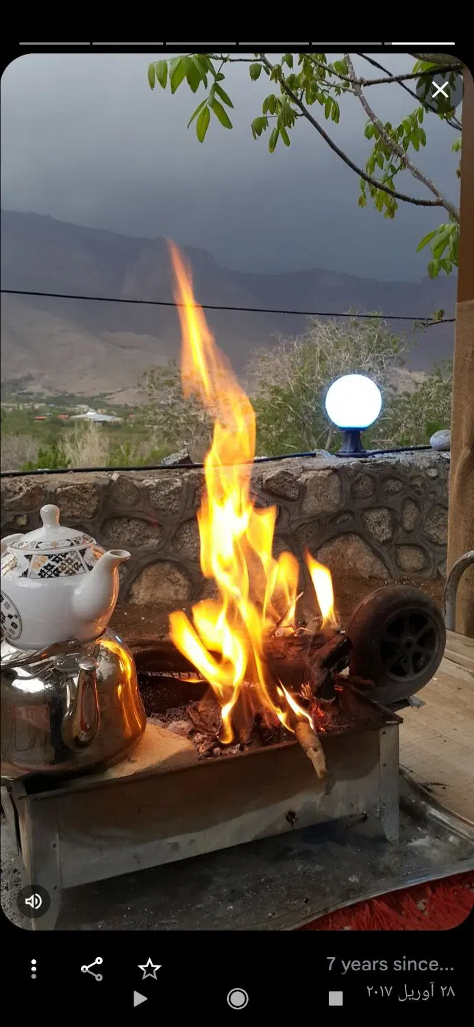 گاوداری چم
