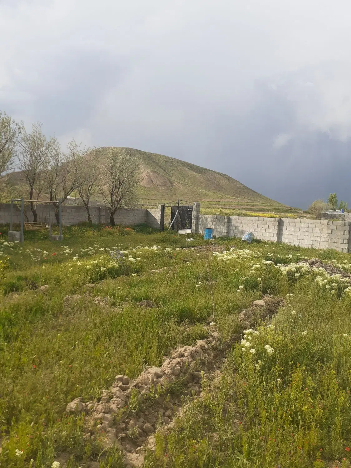باغ در روستای  اولی کندی