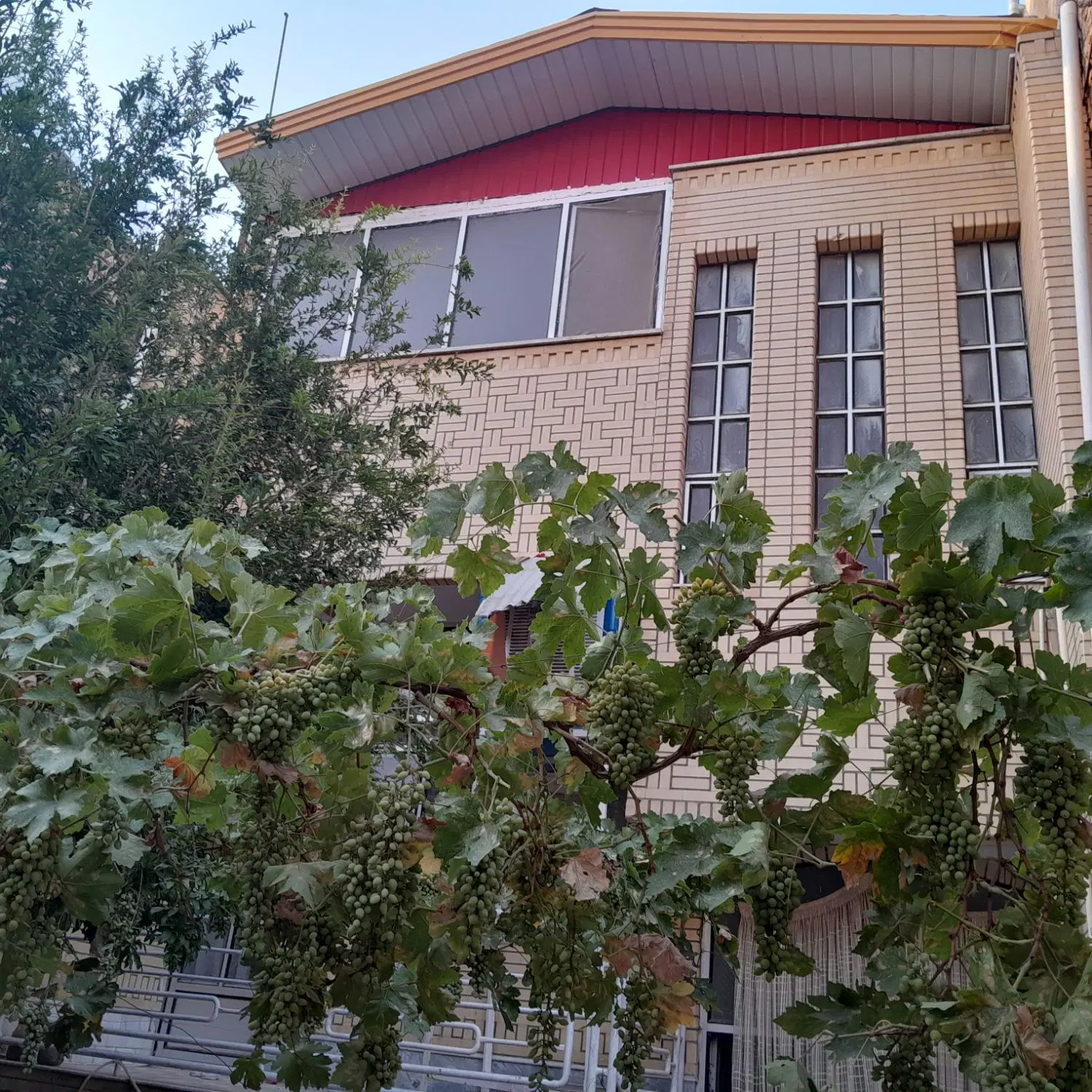 ویلایی شمالی