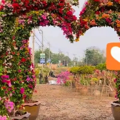زمین۱۵۰متری قنوات فوری