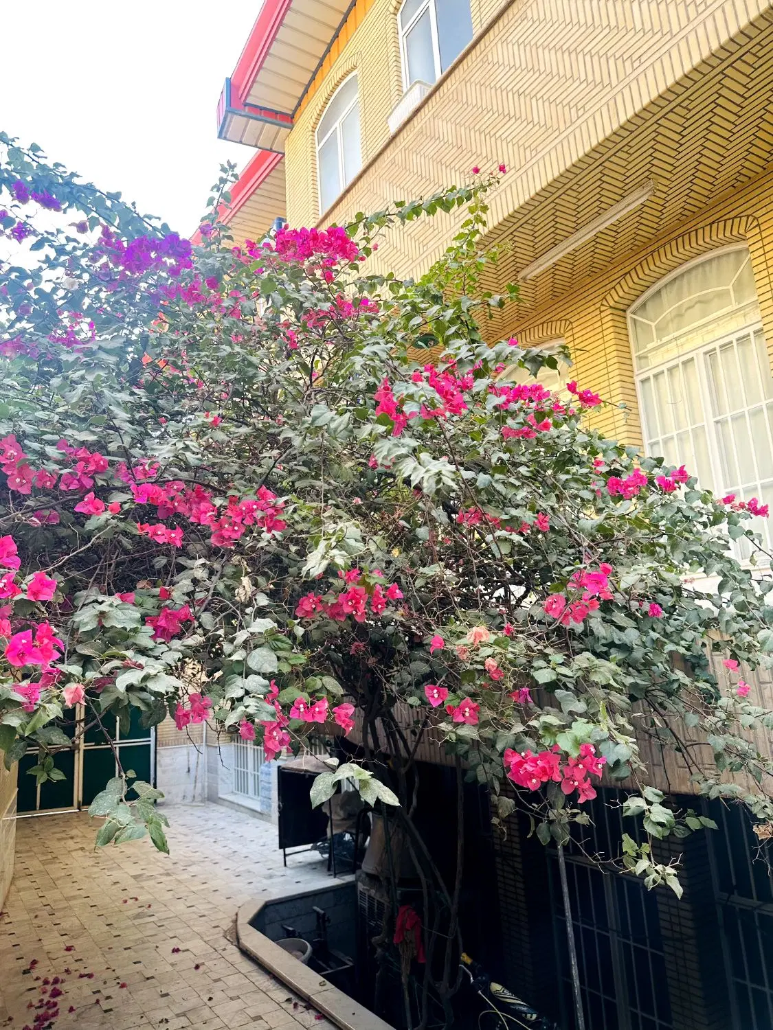 فروش خانه ویلایی