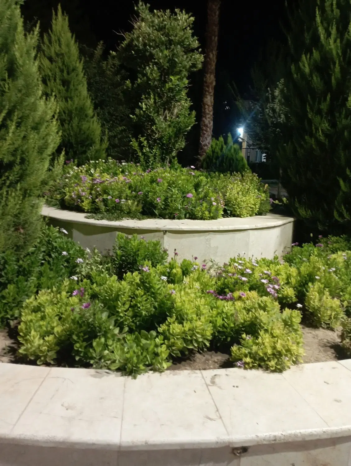 زمین حاجی آباد