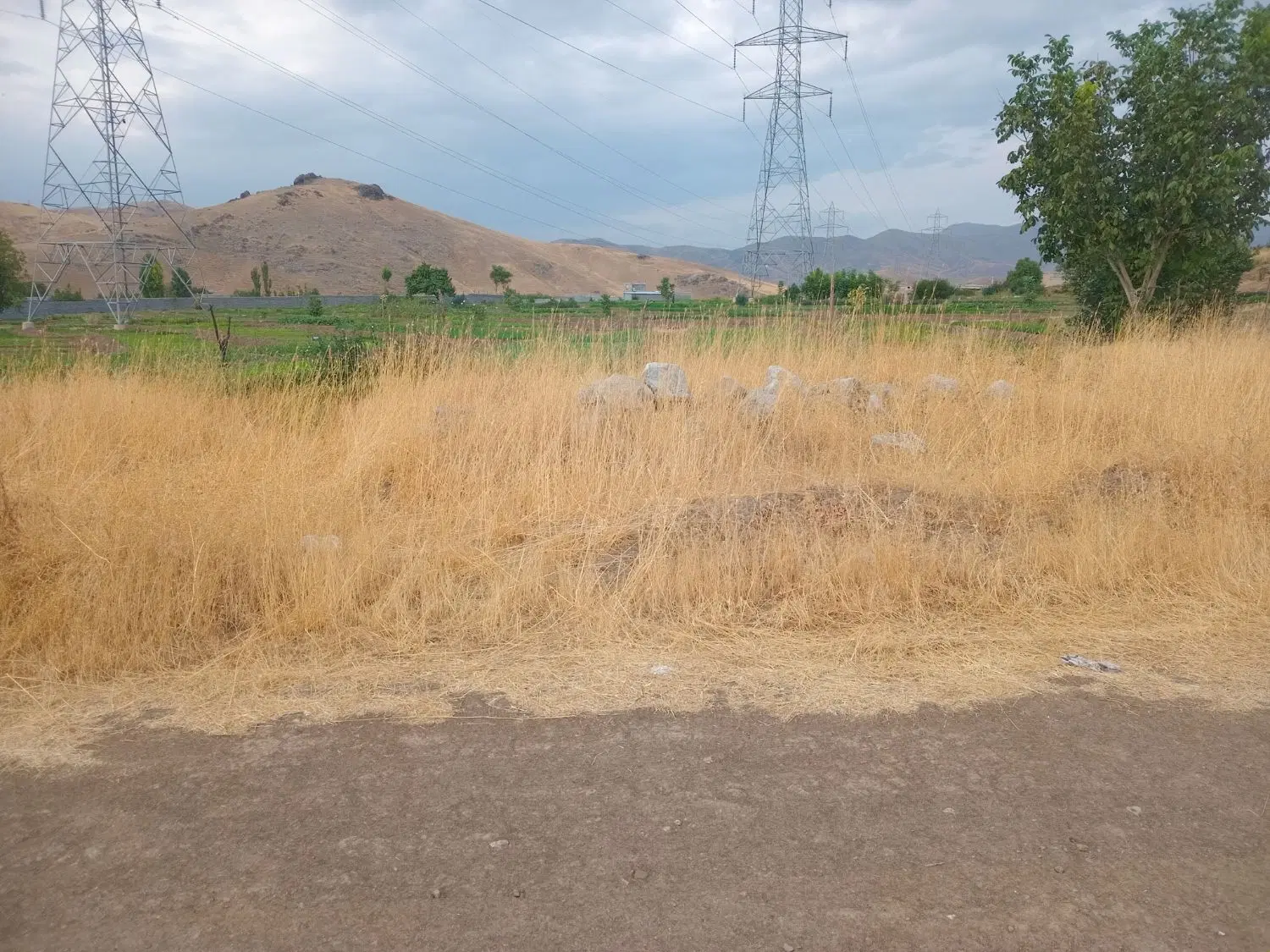 زمین100متری نایسرانتهای ارغوان6