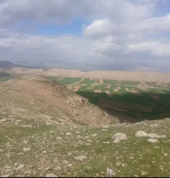 زمین ارزان
