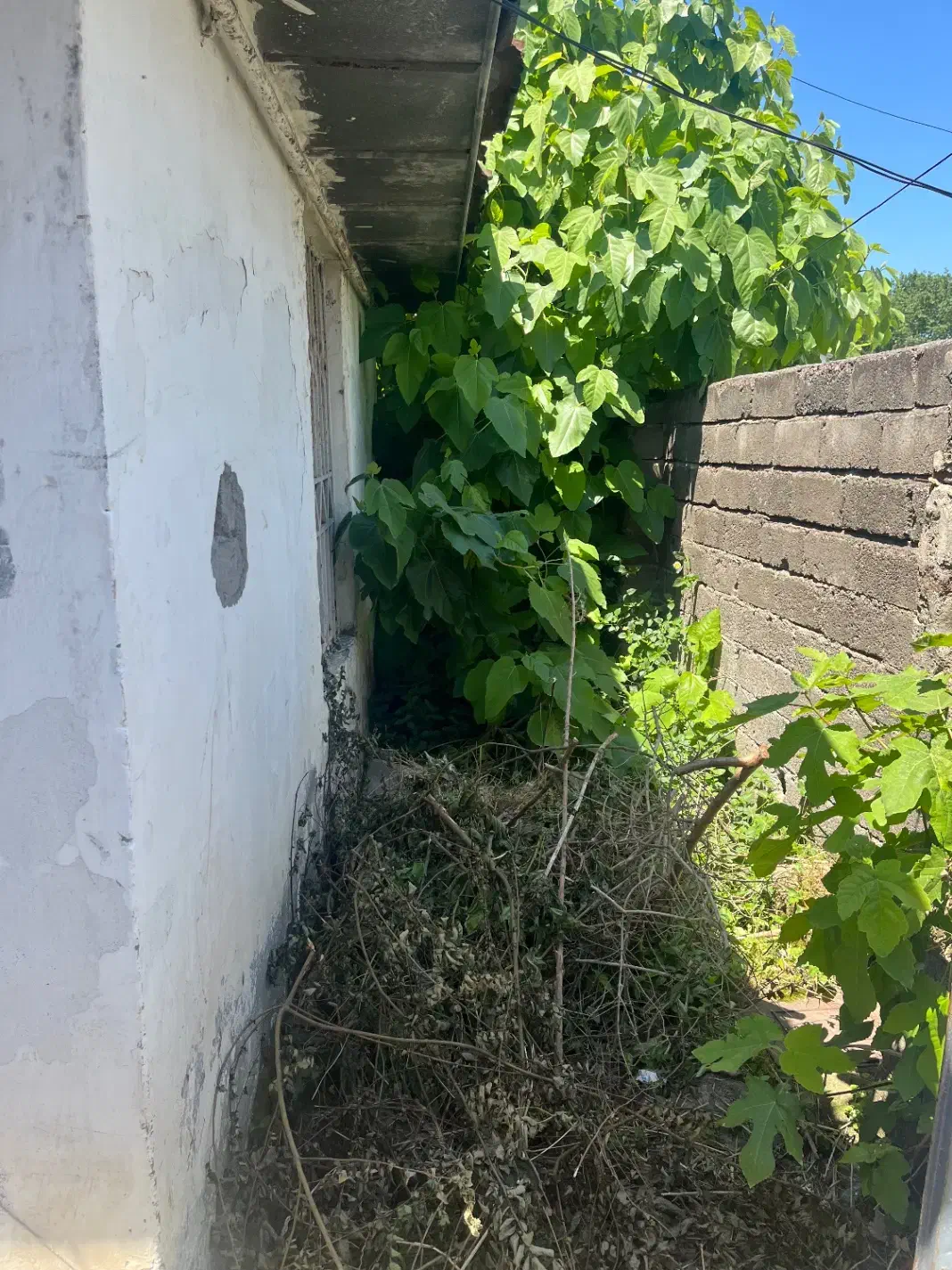 زمین و ملک کلنگی