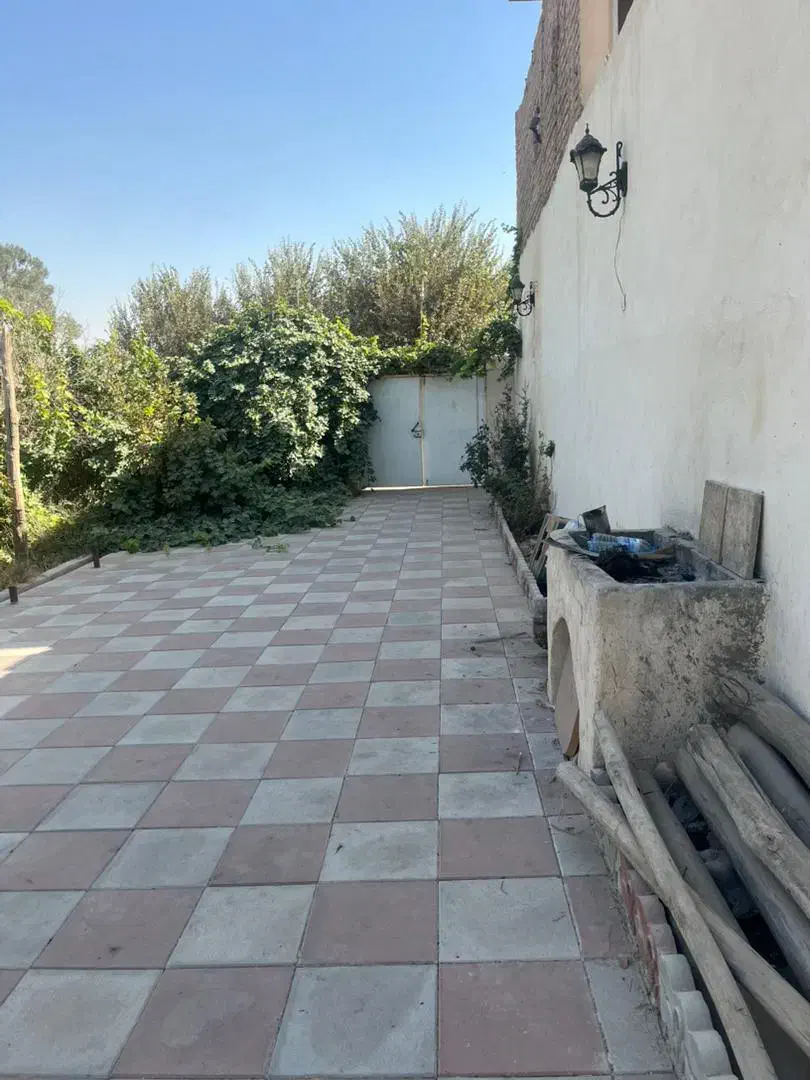 ۵۰۰ متر باغچه معین آباد(جنگل استوایی پاپایا)