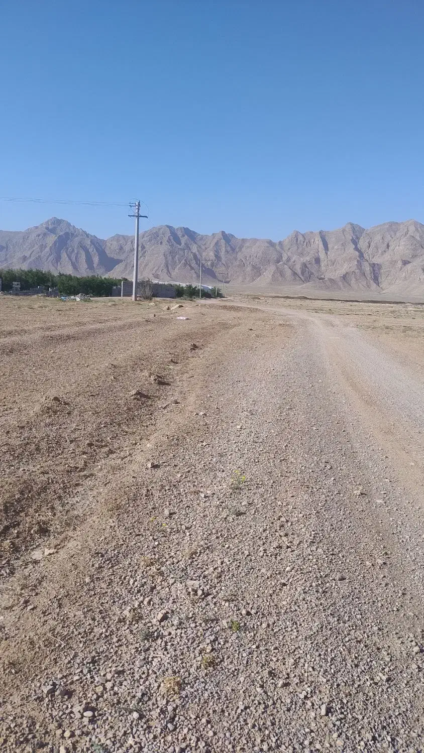 چارجریب زمین جهت گلخانه