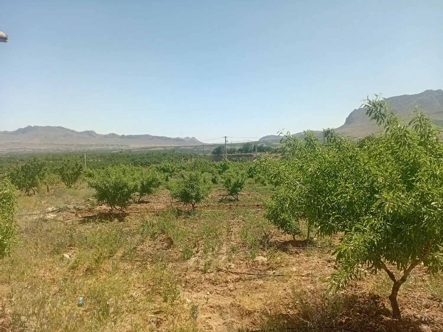 فروش زمین کشاورزی محدوده دهکده زاگرس