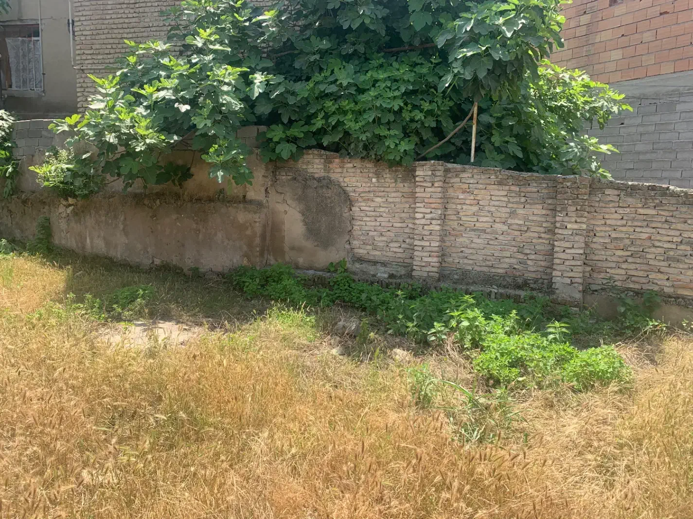 زمین تجاری مسکونی