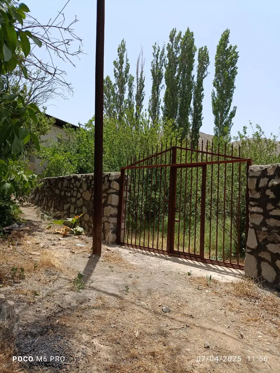 باغ زیبا و مثمر دیوار کشی شده و مستقل