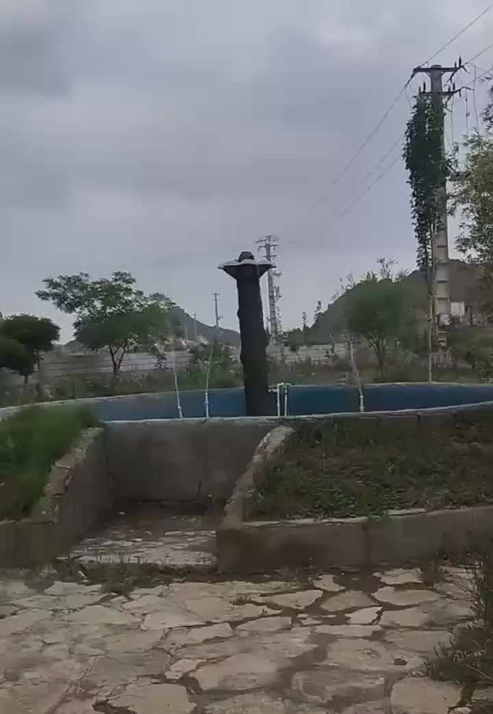 باغ رستوران