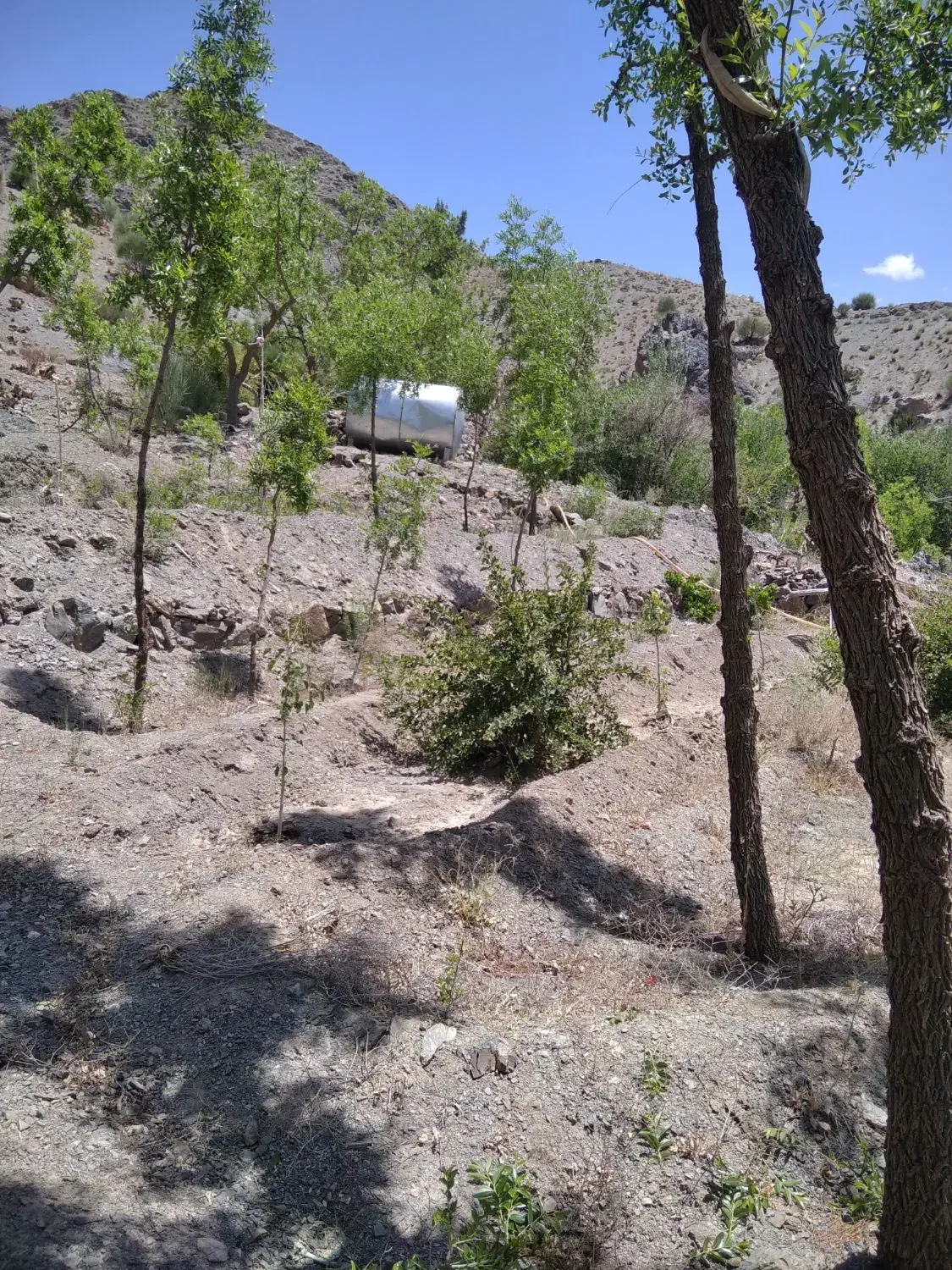 فروش باغ در کوهستان